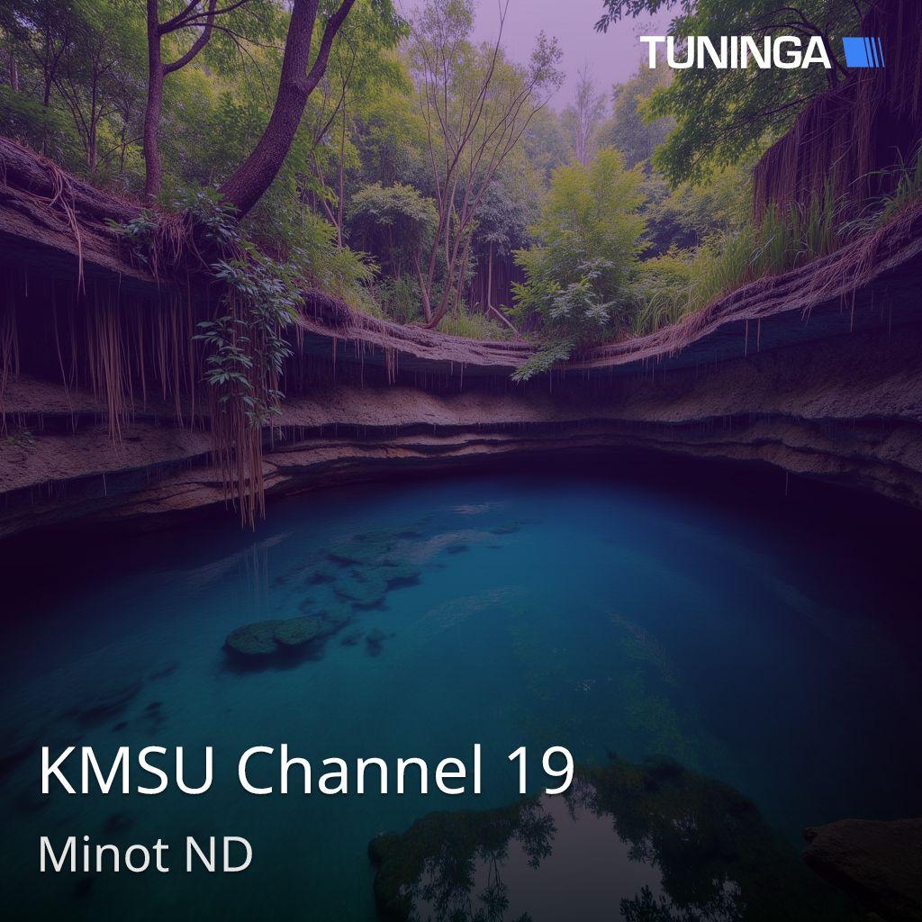 KMSU Channel 19