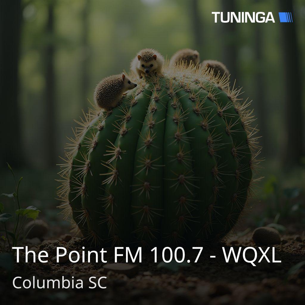 The Point FM 100.7 - WQXL