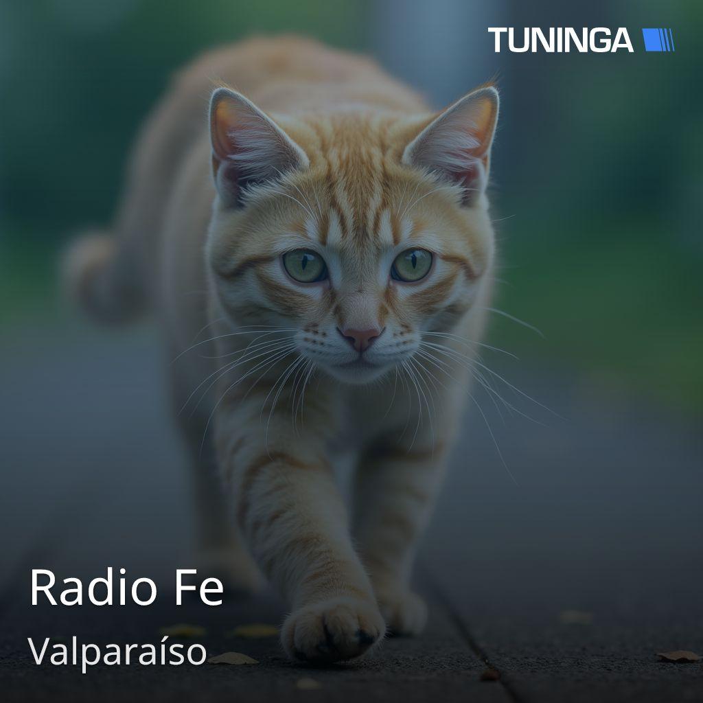 Radio Fe