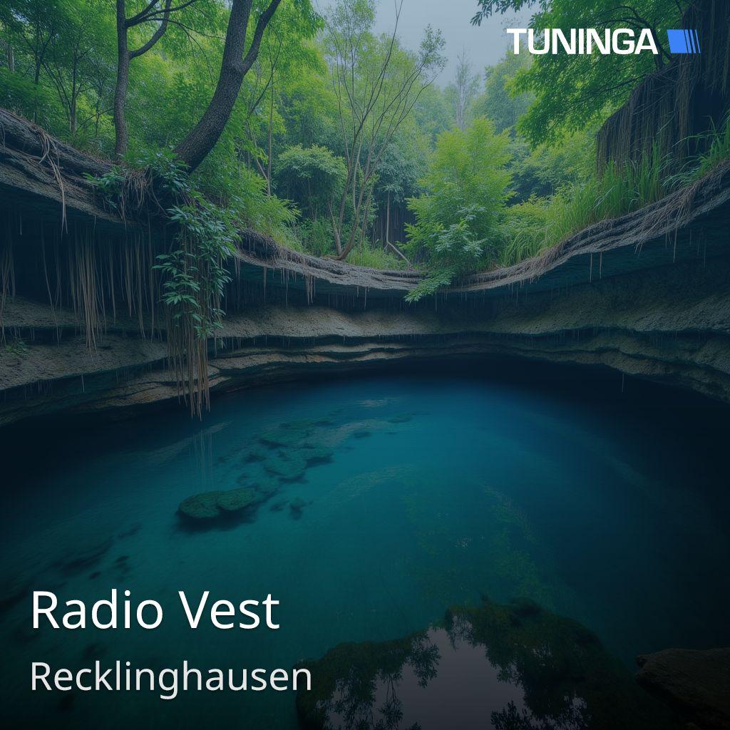 Radio Vest