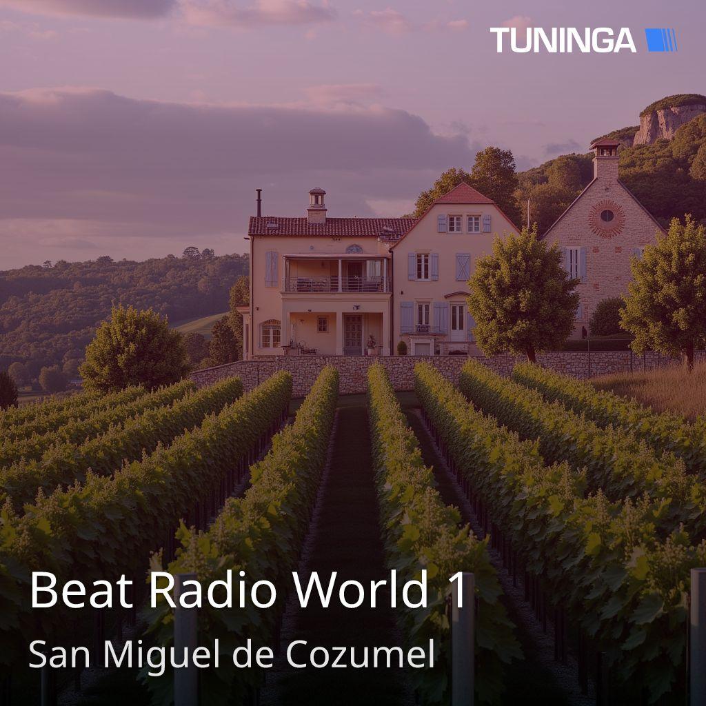 Beat Radio World 1