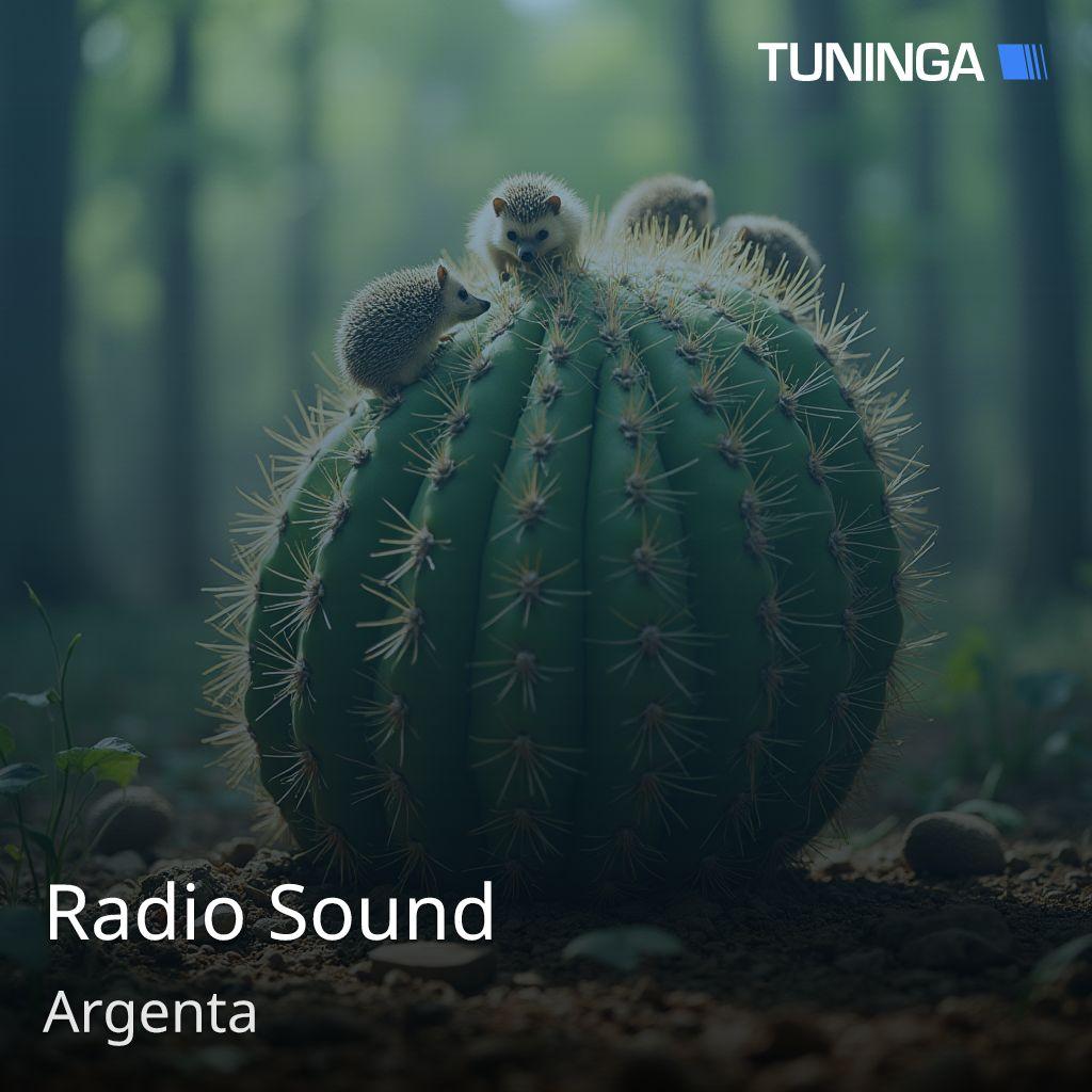 Radio Sound