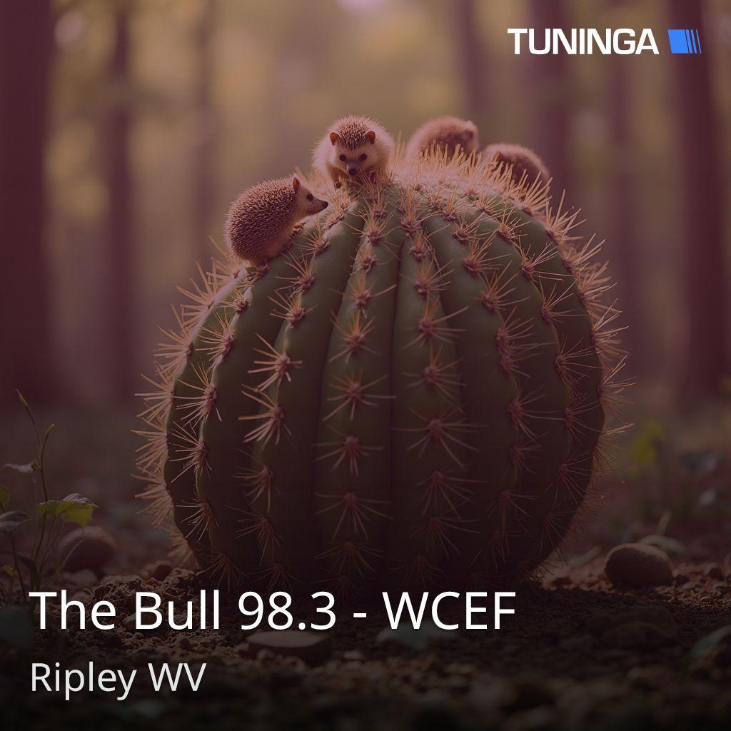 The Bull 98.3 - WCEF