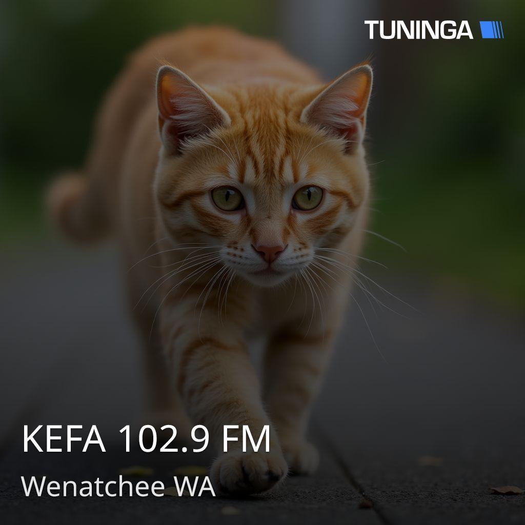 KEFA 102.9 FM