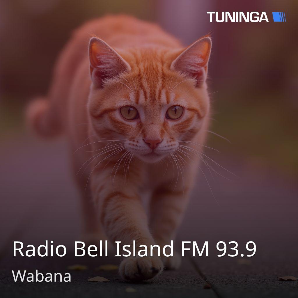 Radio Bell Island FM 93.9
