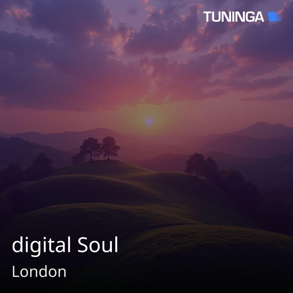 digital Soul