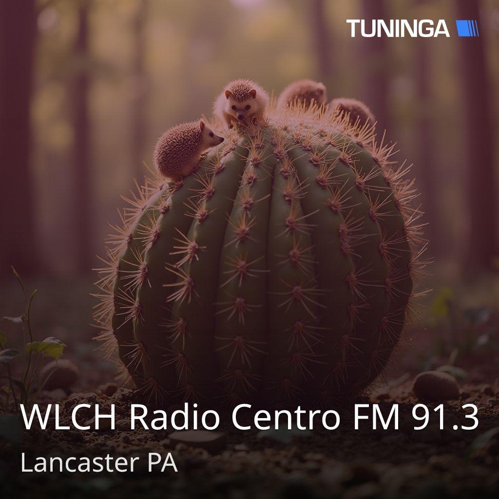 WLCH Radio Centro FM 91.3