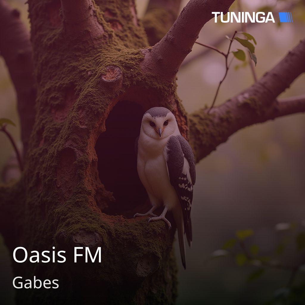 Oasis FM