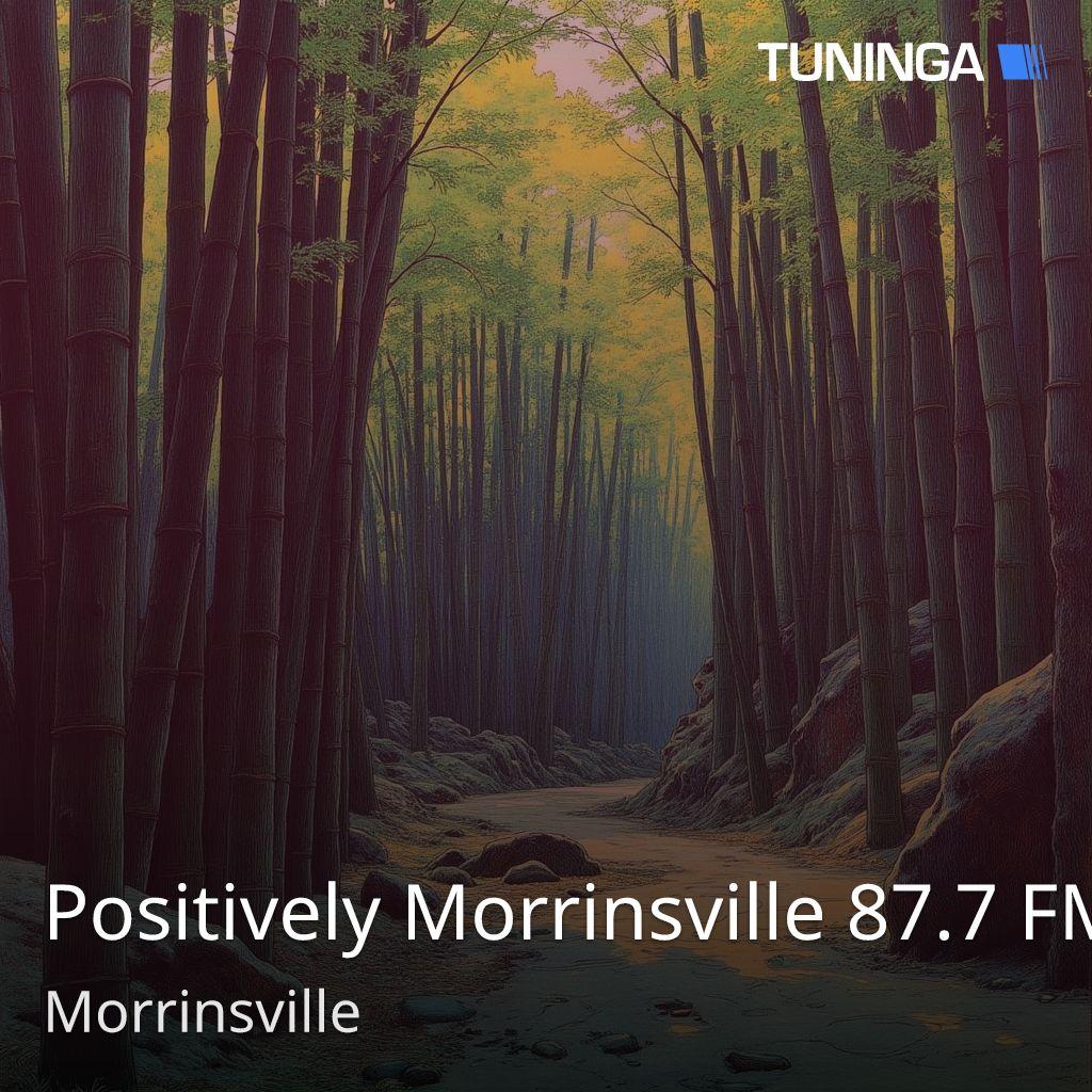 Positively Morrinsville 87.7 FM