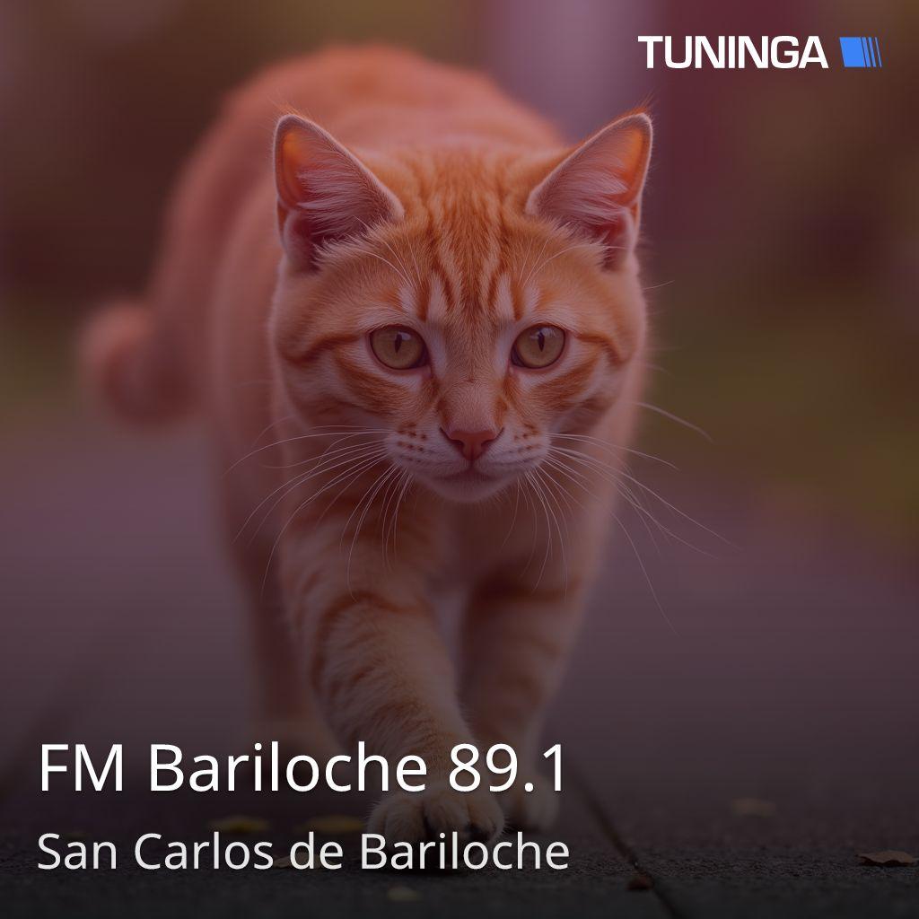 FM Bariloche 89.1