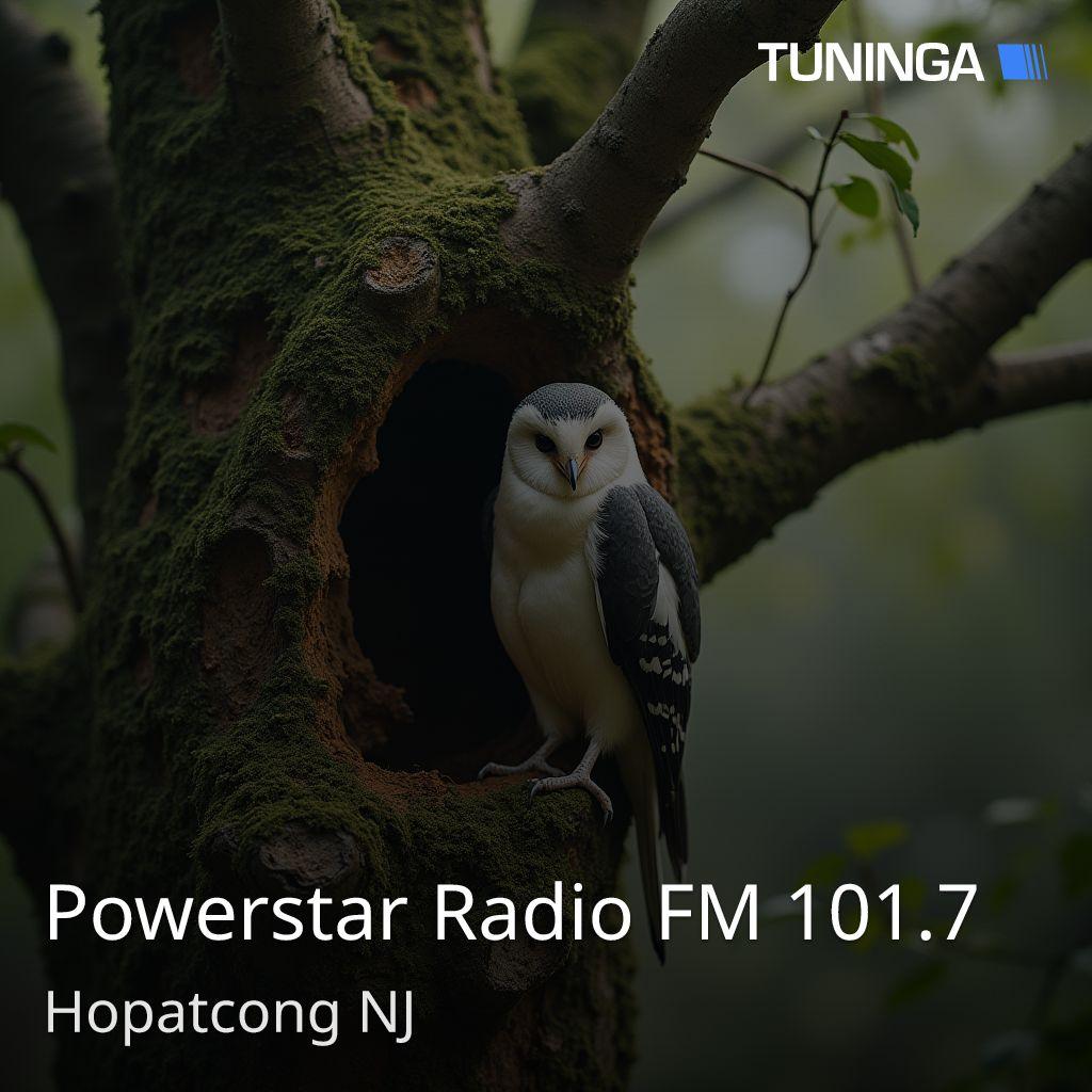 Powerstar Radio FM 101.7