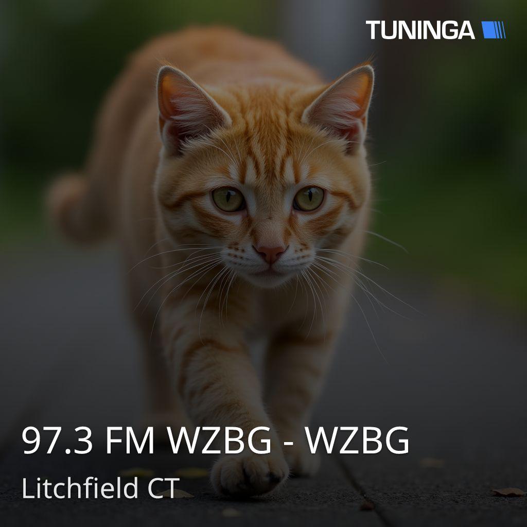 97.3 FM WZBG - WZBG