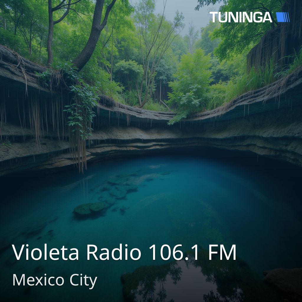 Violeta Radio 106.1 FM