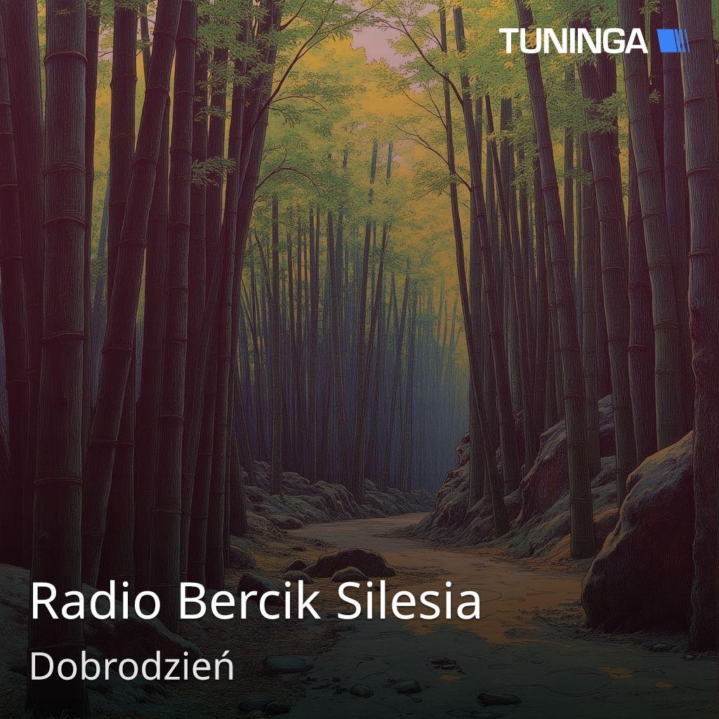 Radio Bercik Silesia