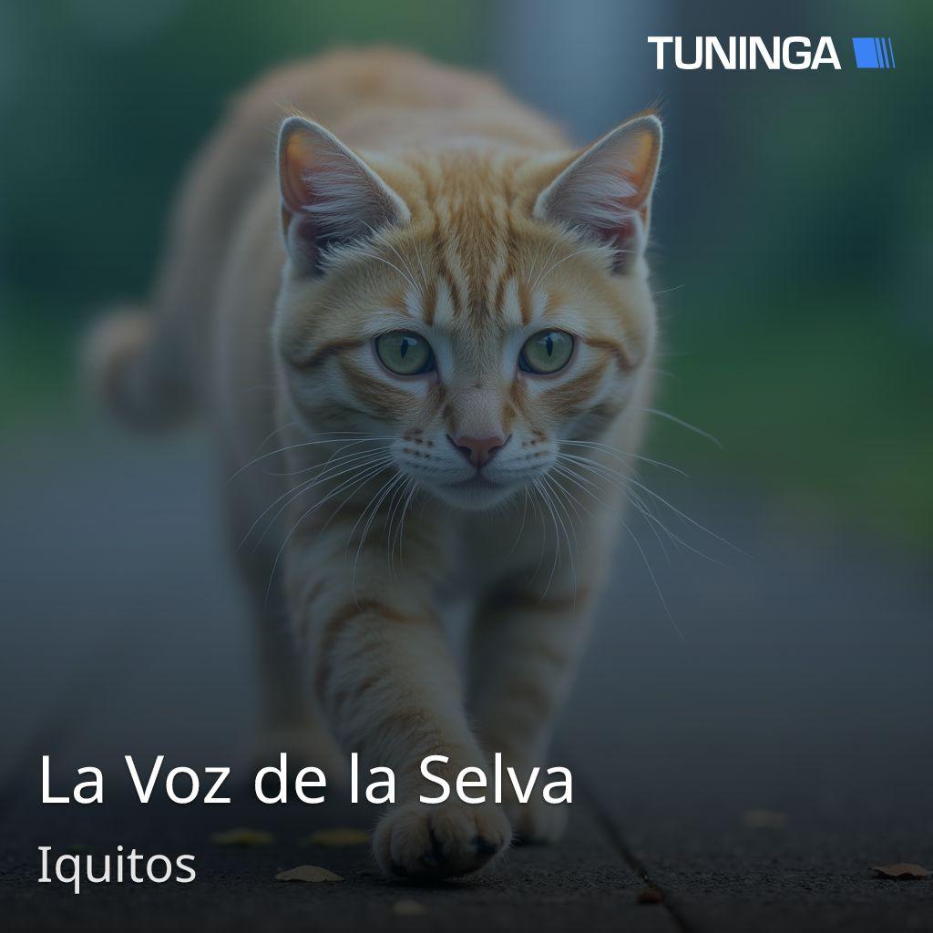 La Voz de la Selva