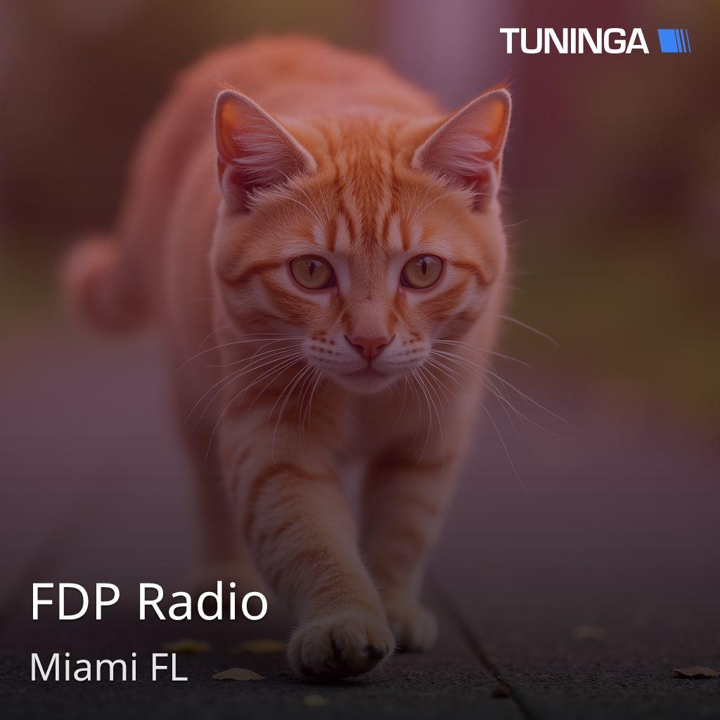 FDP Radio