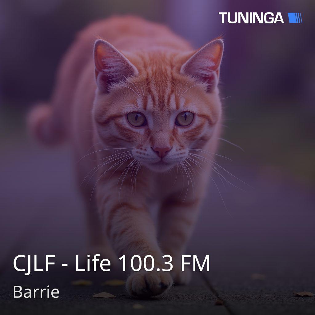 CJLF - Life 100.3 FM