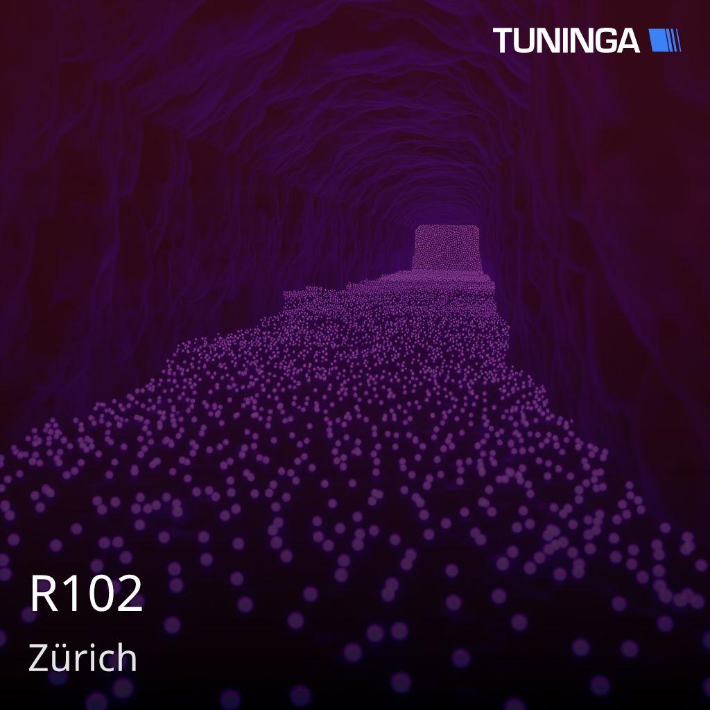 R102