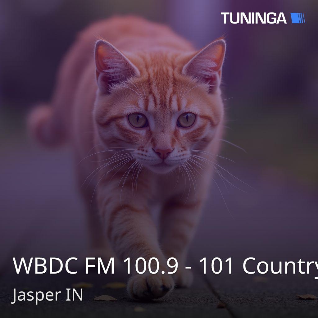 WBDC FM 100.9 - 101 Country