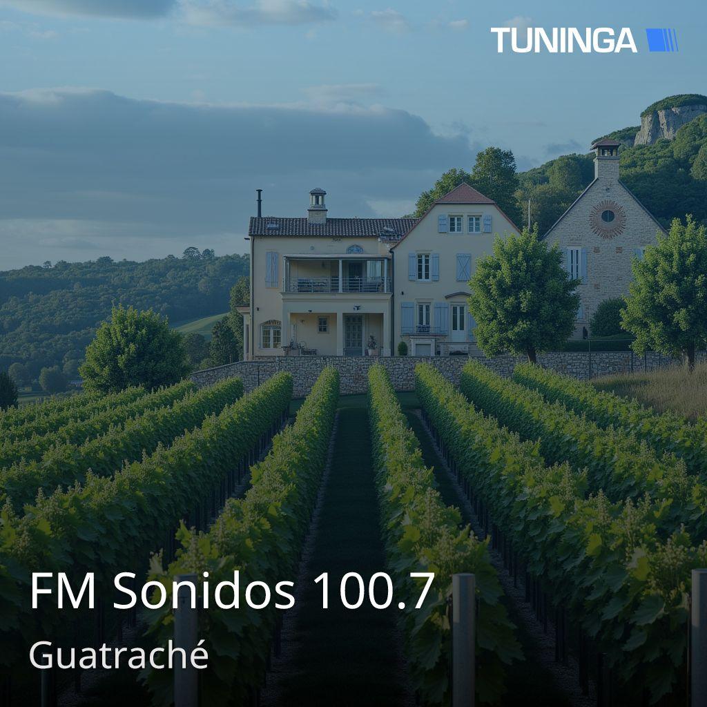 FM Sonidos 100.7