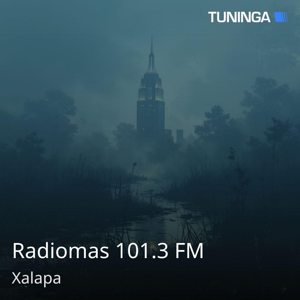 Radiomas 101.3 FM