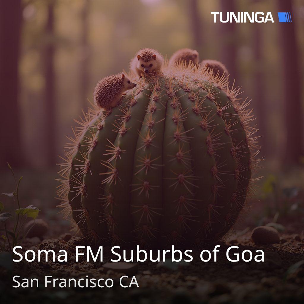 Soma FM Suburbs of Goa