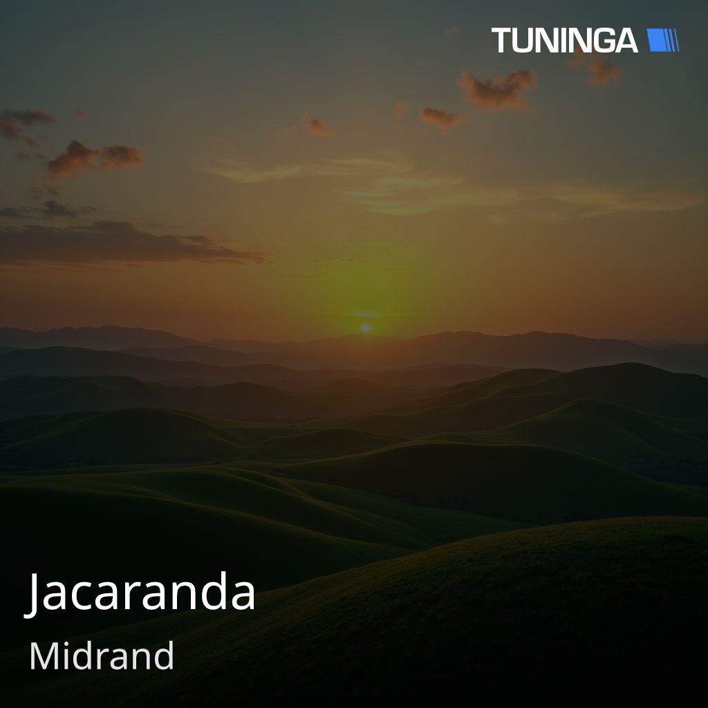 Jacaranda
