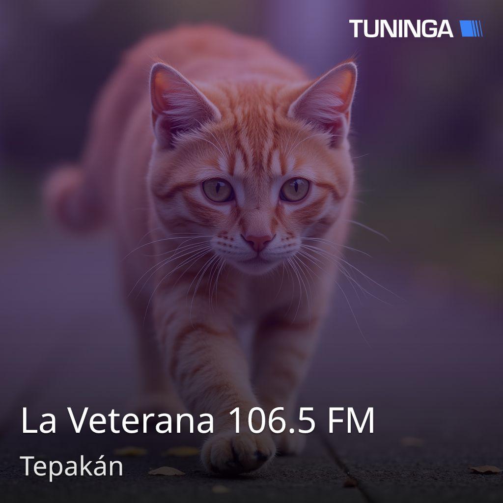 La Veterana 106.5 FM