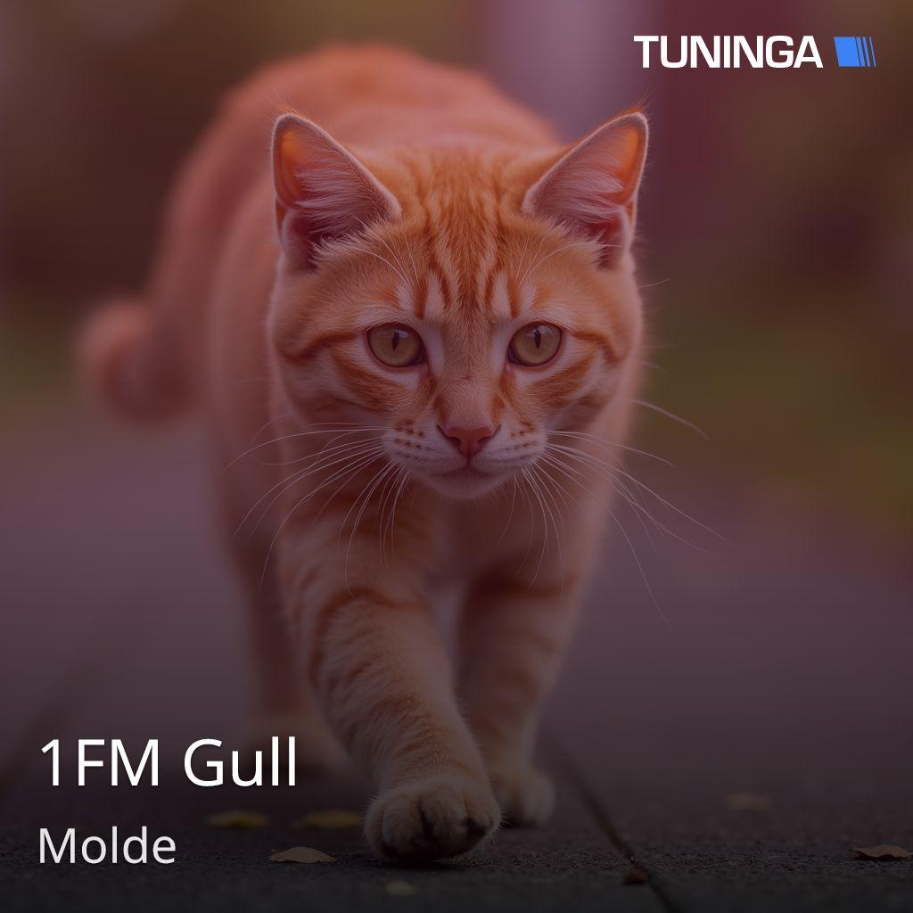 1FM Gull