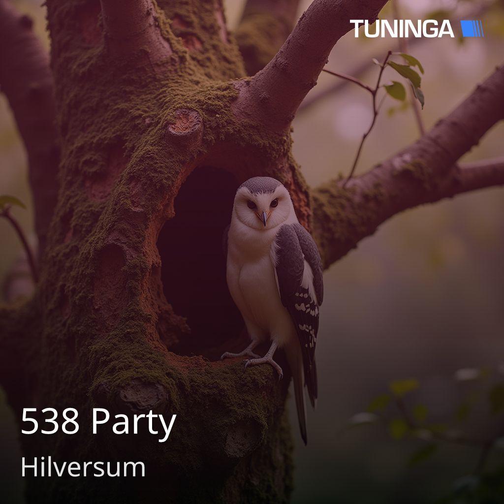 538 Party