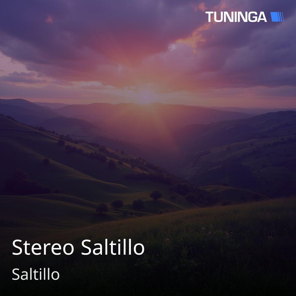 Stereo Saltillo