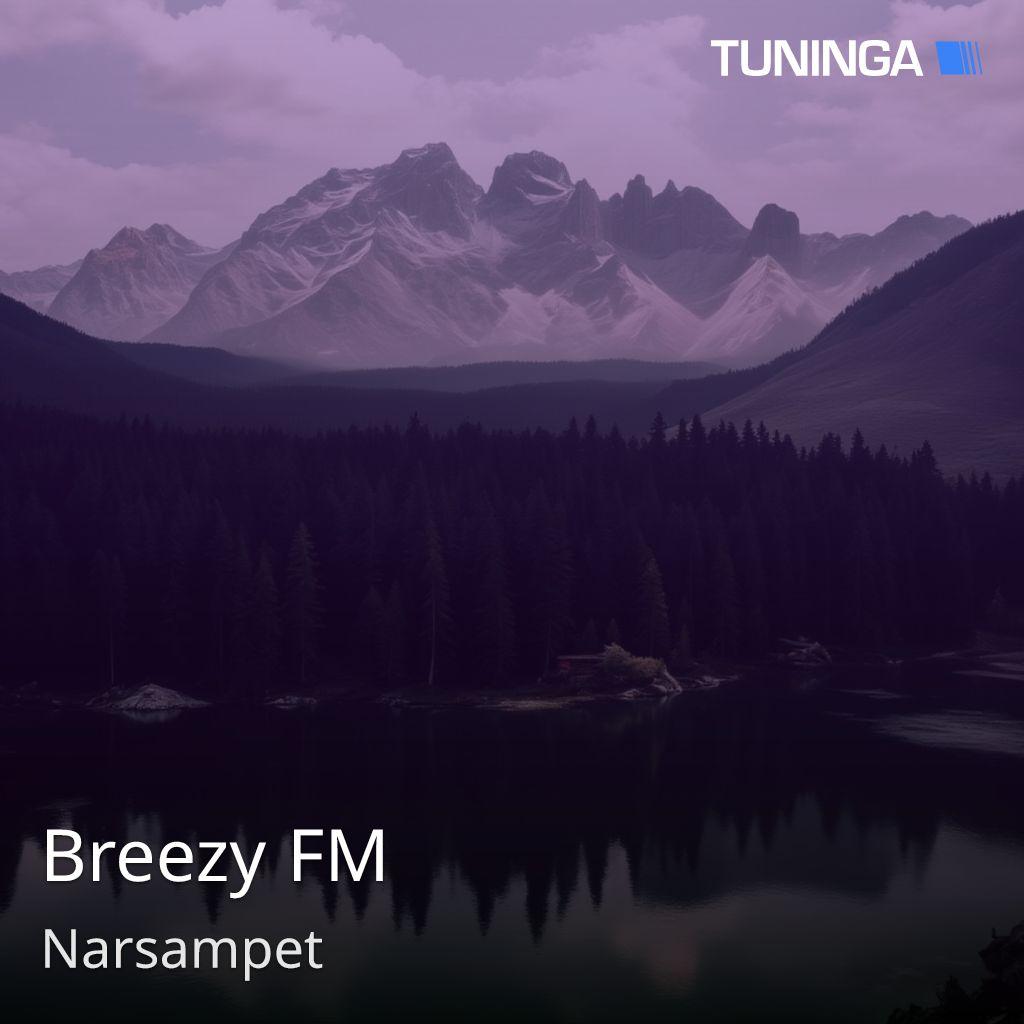 Breezy FM