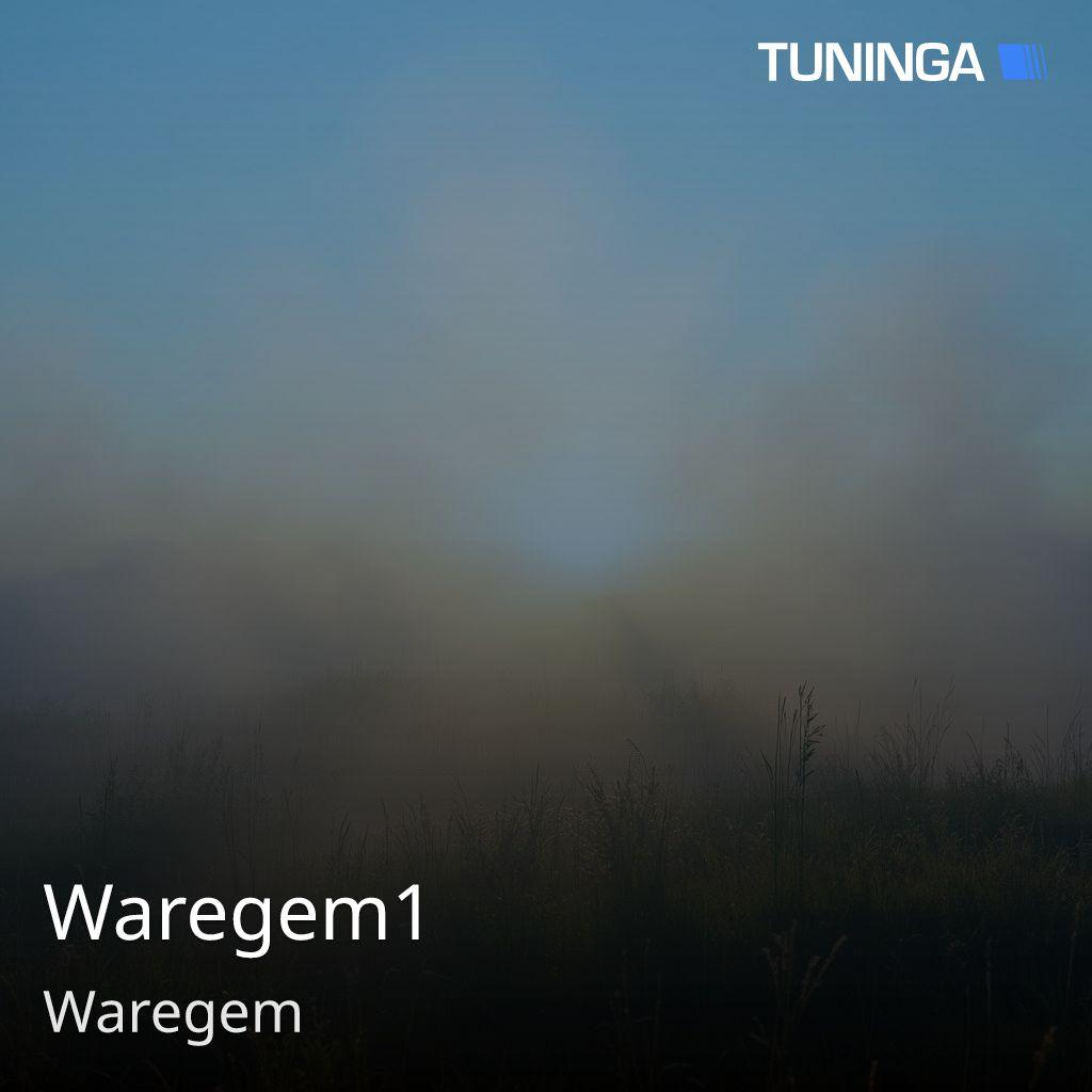 Waregem1