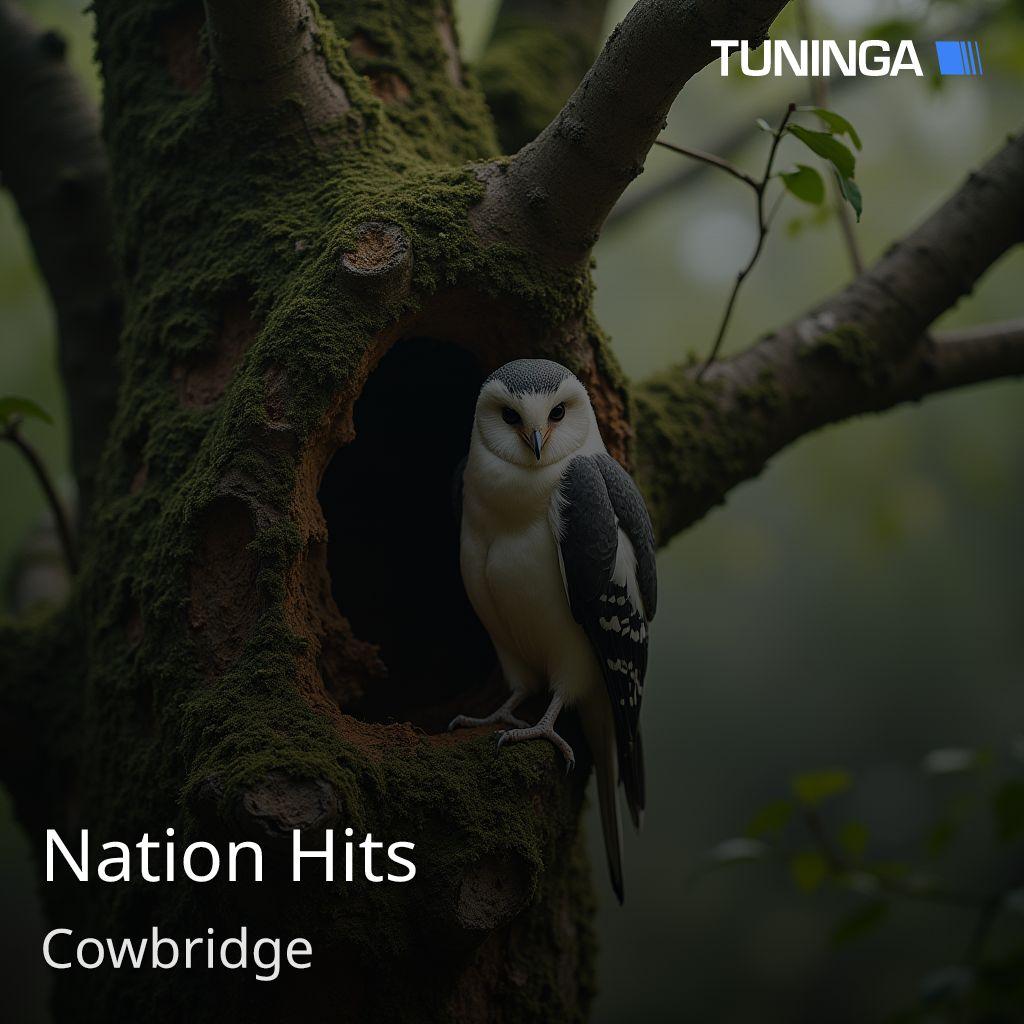 Nation Hits