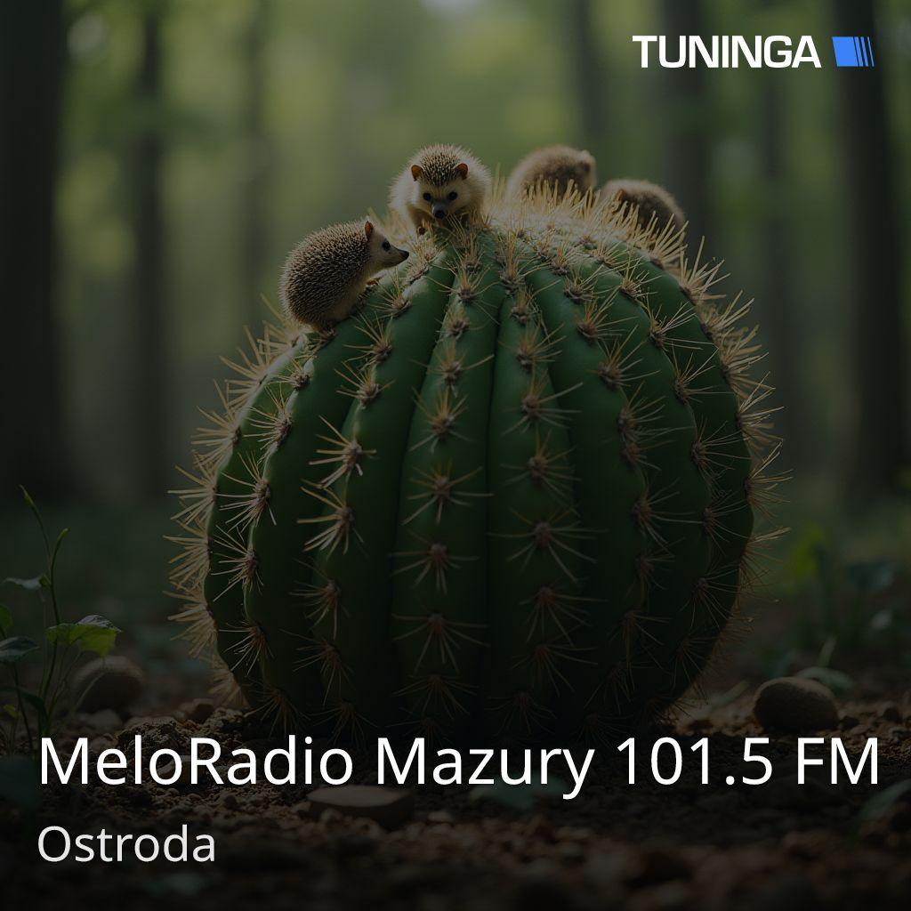 MeloRadio Mazury 101.5 FM