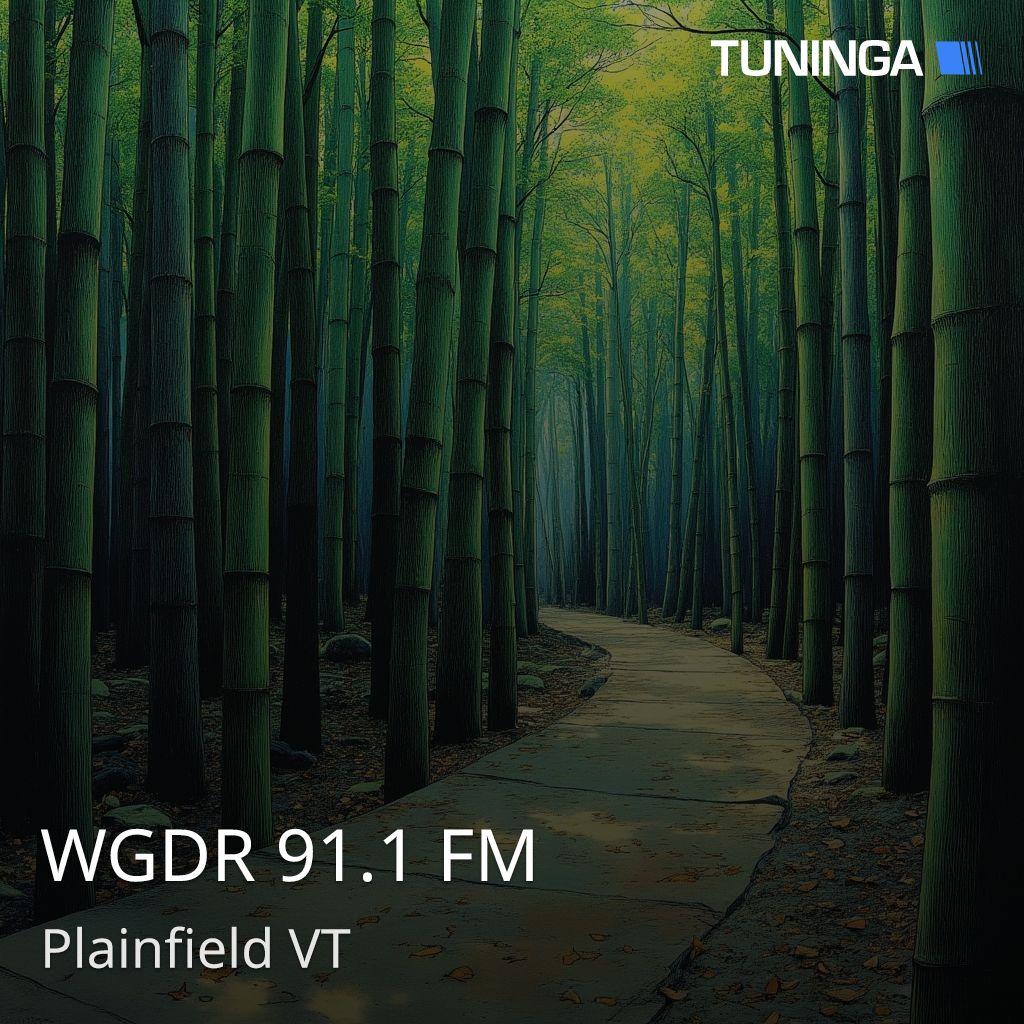 WGDR 91.1 FM
