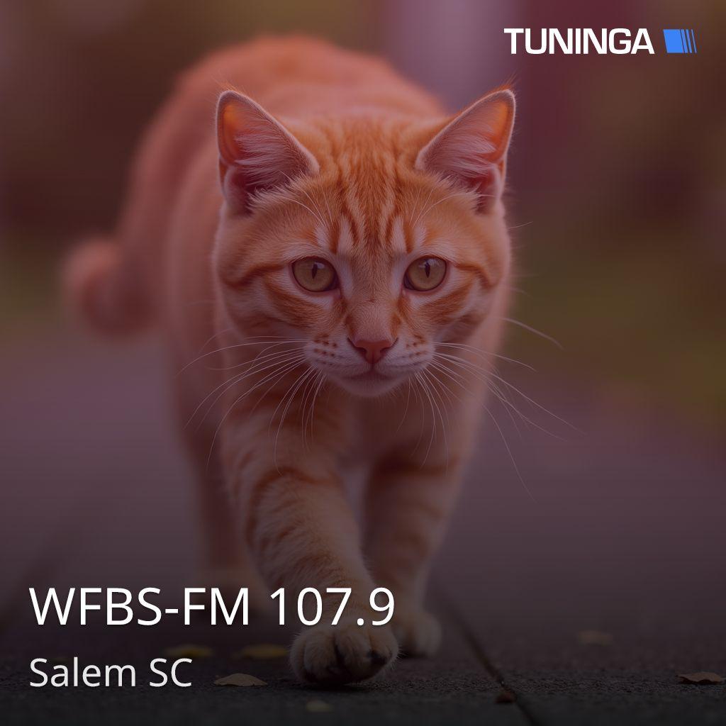 WFBS-FM 107.9