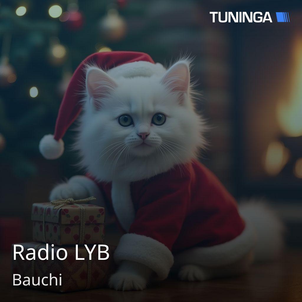 Radio LYB