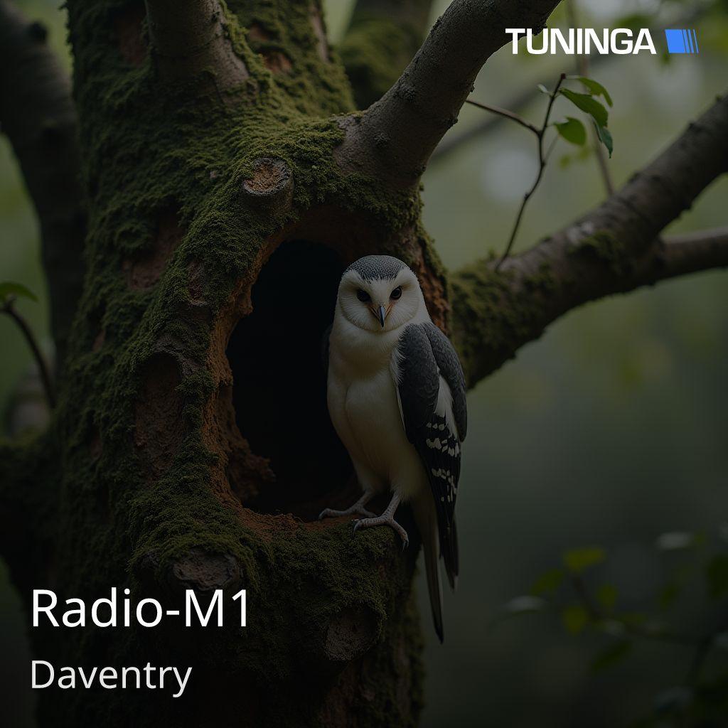 Radio-M1