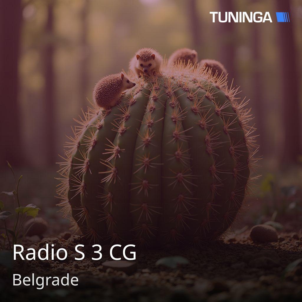 Radio S 3 CG