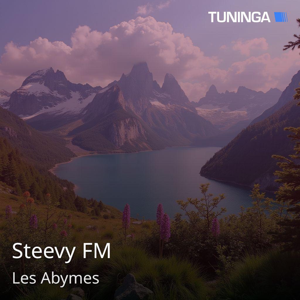 Steevy FM
