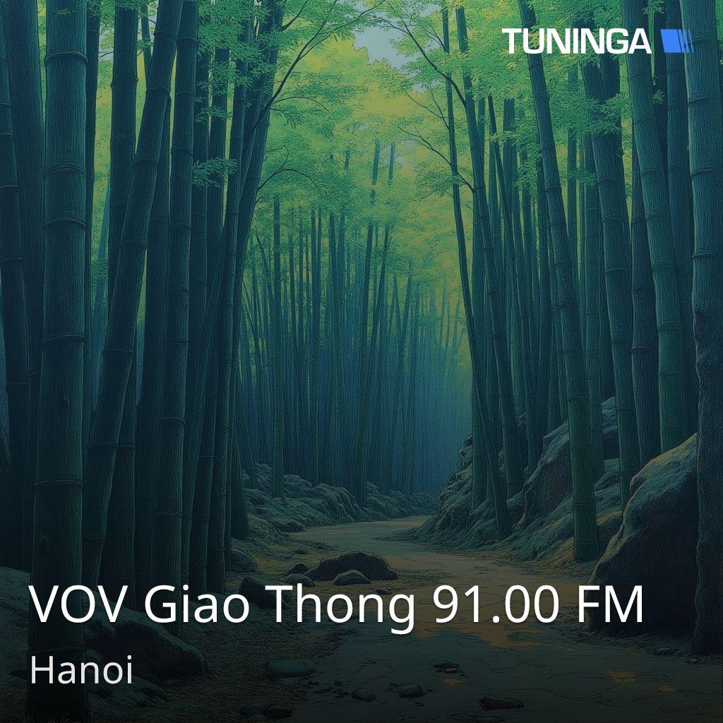 VOV Giao Thong 91.00 FM
