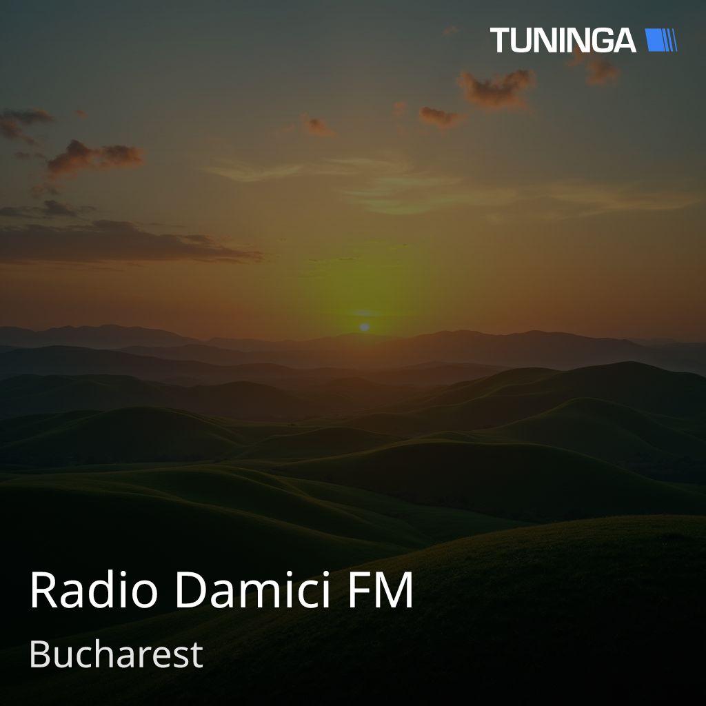 Radio Damici FM