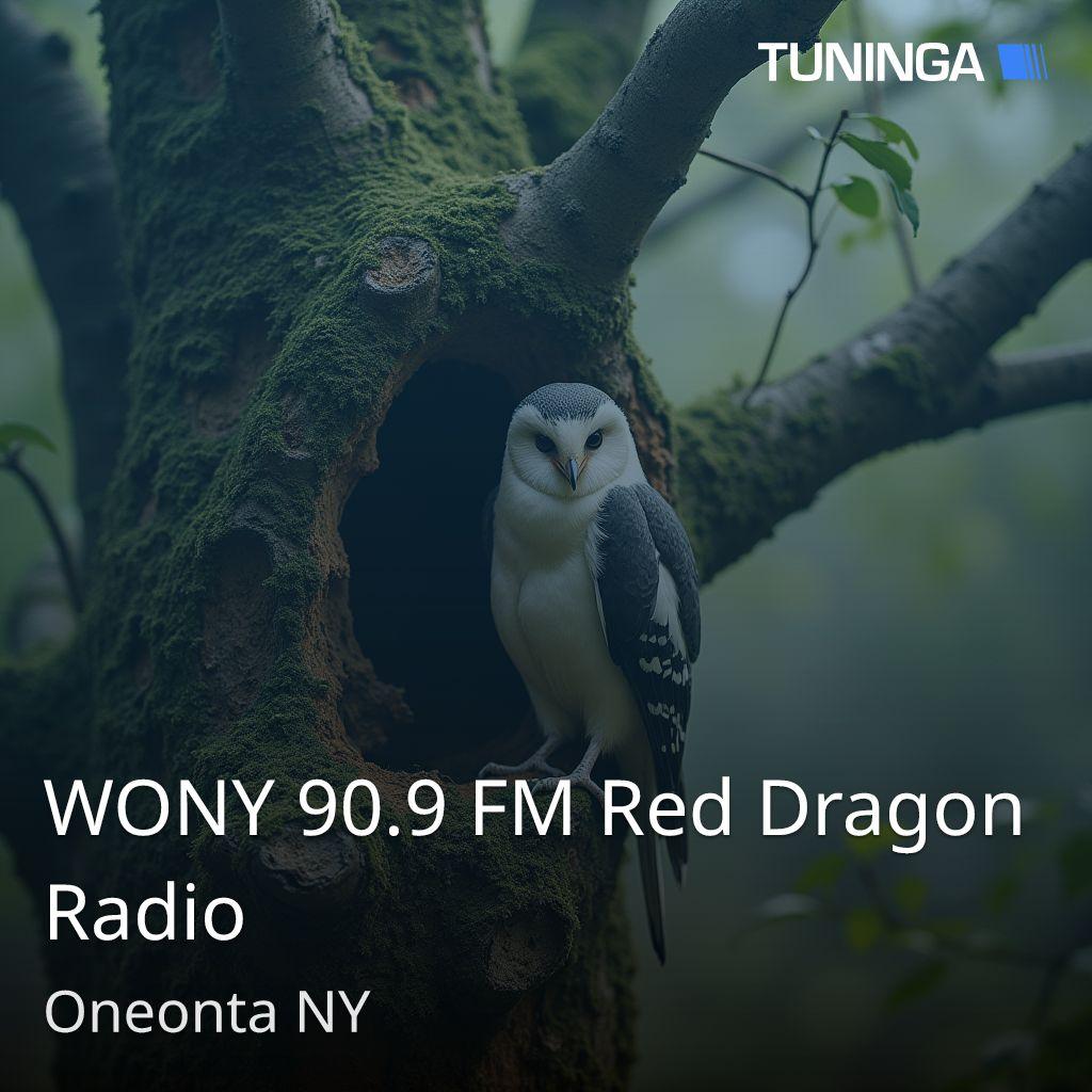 WONY 90.9 FM Red Dragon Radio