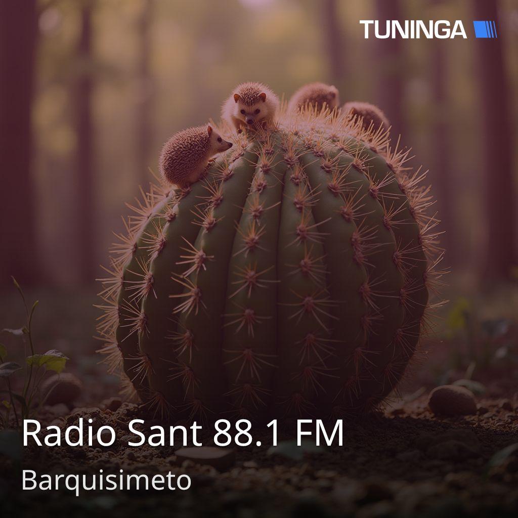 Radio Sant 88.1 FM