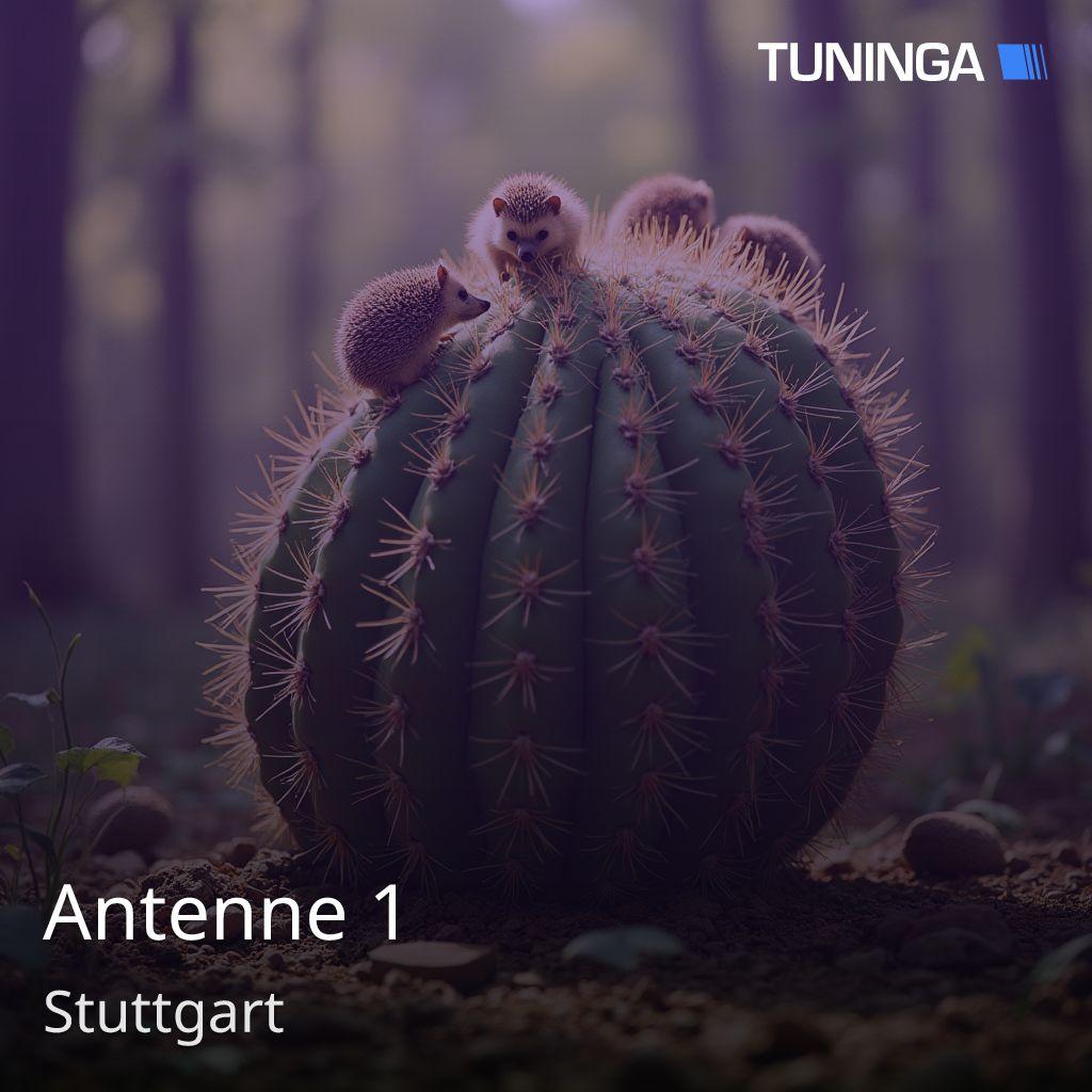 Antenne 1