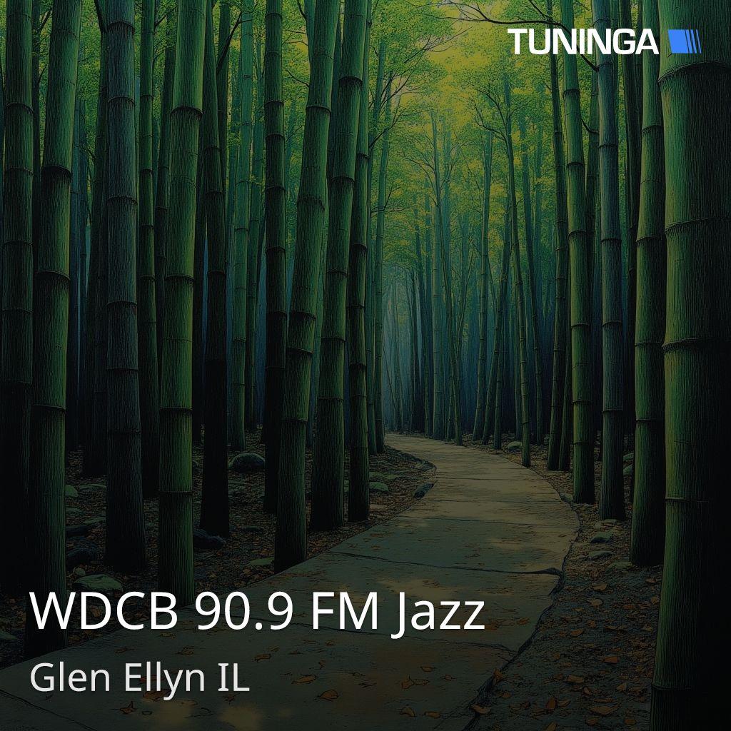 WDCB 90.9 FM Jazz