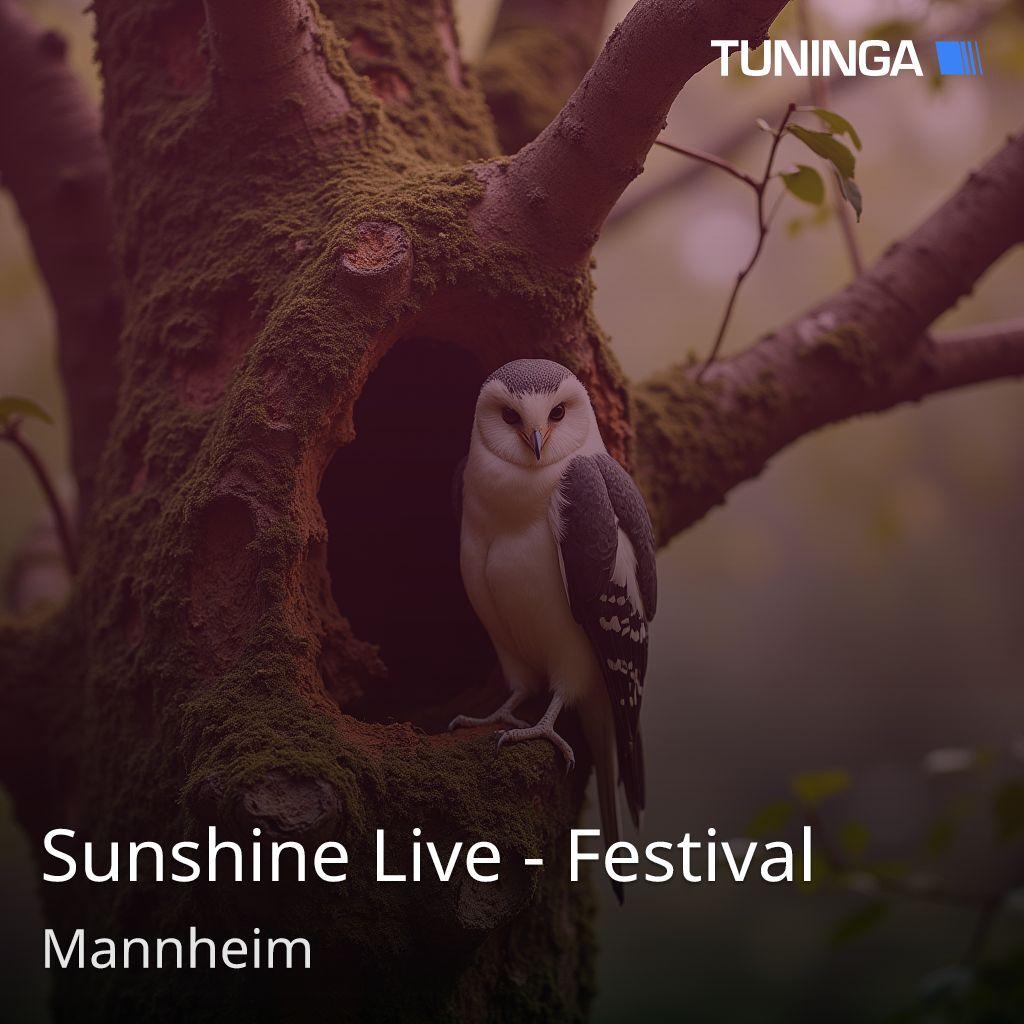 Sunshine Live - Festival