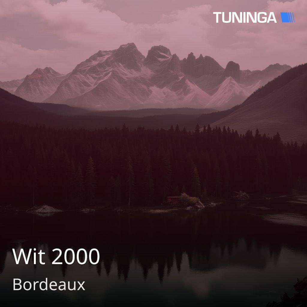 Wit 2000