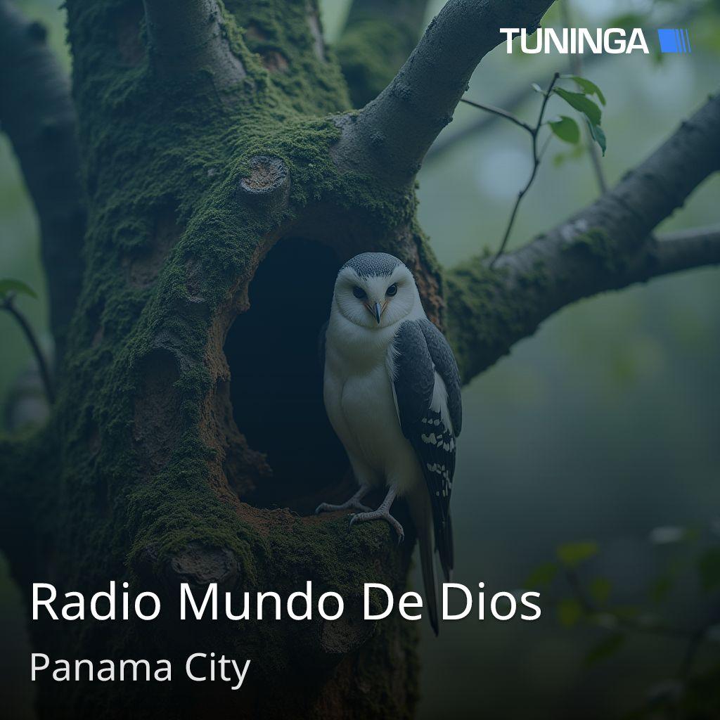 Radio Mundo De Dios